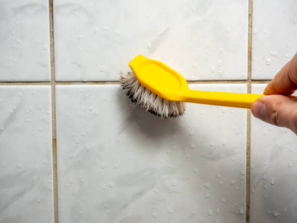 Best Home Mold Removal  in Terrytown, LA
