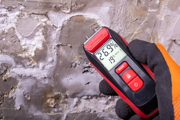 Best Affordable Mold Removal  in Terrytown, LA